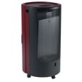 * Estufa de gas llama libre.  Mod Blue Bell Chic. 4,2 Kw..